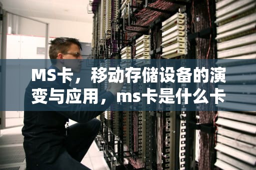 MS卡，移动存储设备的演变与应用，ms卡是什么卡