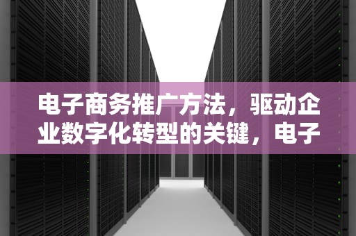 电子商务推广方法，驱动企业数字化转型的关键，电子商务推广方法有哪些