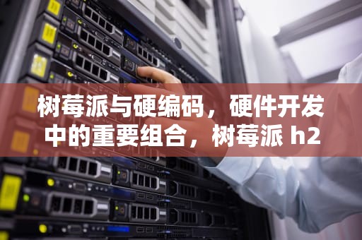 树莓派与硬编码，硬件开发中的重要组合，树莓派 h265硬编码