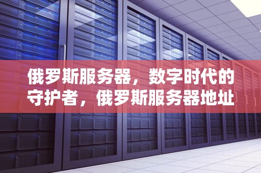 俄罗斯服务器，数字时代的守护者，俄罗斯服务器地址