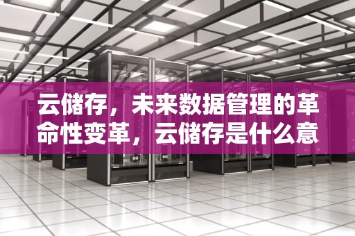 云储存，未来数据管理的革命性变革，云储存是什么意思