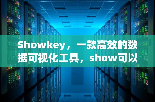 Showkey，一款高效的数据可视化工具，show可以加s吗