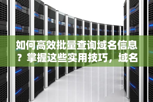 如何高效批量查询域名信息？掌握这些实用技巧，域名批量查询工具