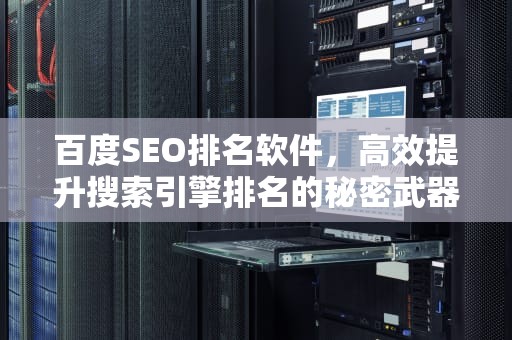 百度SEO排名软件，高效提升搜索引擎排名的秘密武器，百度seo排名软件有哪些