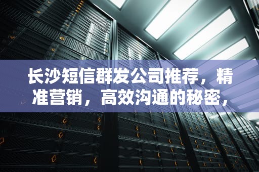 长沙短信群发公司推荐，精准营销，高效沟通的秘密，长沙短信群发公司有哪些