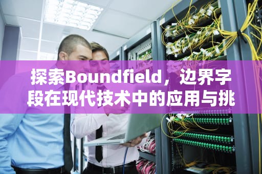 探索Boundfield，边界字段在现代技术中的应用与挑战，boundfield控件