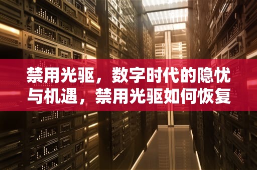 禁用光驱，数字时代的隐忧与机遇，禁用光驱如何恢复