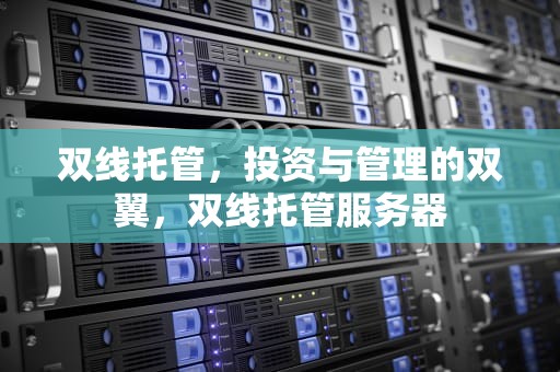 双线托管，投资与管理的双翼，双线托管服务器