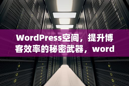WordPress空间，提升博客效率的秘密武器，wordpress空间推荐