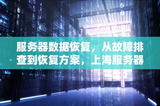 服务器数据恢复，从故障排查到恢复方案，上海服务器数据恢复