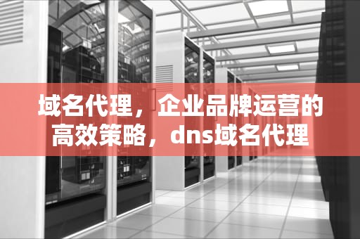 域名代理，企业品牌运营的高效策略，dns域名代理