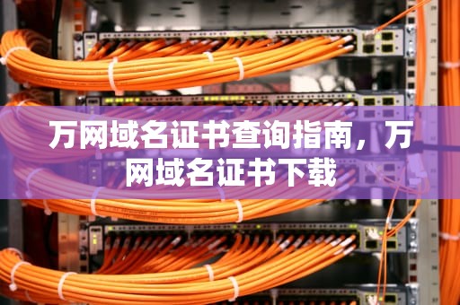 万网域名证书查询指南，万网域名证书下载