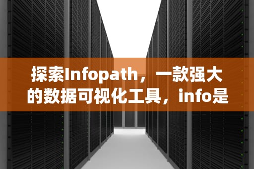 探索Infopath，一款强大的数据可视化工具，info是啥