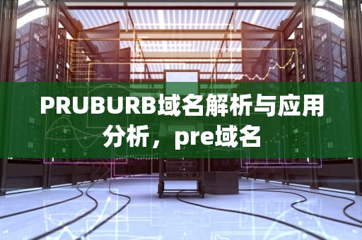 PRUBURB域名解析与应用分析，pre域名