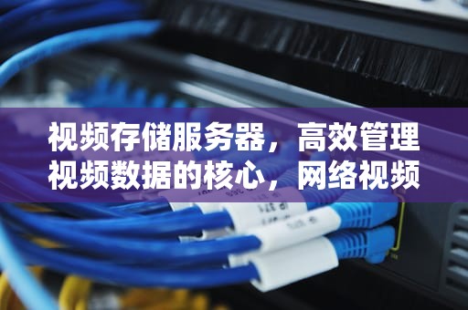 视频存储服务器，高效管理视频数据的核心，网络视频存储服务器