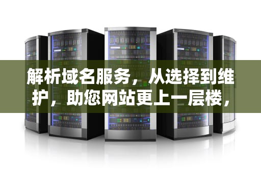 解析域名服务，从选择到维护，助您网站更上一层楼，域名服务DNS的主要功能是