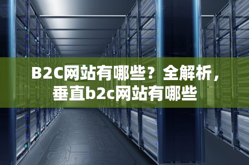 B2C网站有哪些？全解析，垂直b2c网站有哪些
