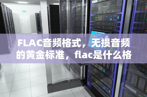 FLAC音频格式，无损音频的黄金标准，flac是什么格式的文件