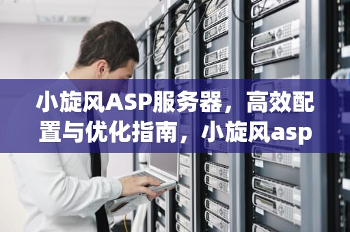 小旋风ASP服务器，高效配置与优化指南，小旋风asp服务器连接失败