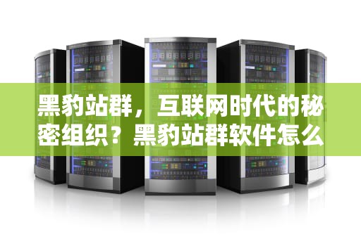 黑豹站群，互联网时代的秘密组织？黑豹站群软件怎么样