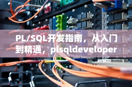 PL/SQL开发指南，从入门到精通，plsqldeveloper使用教程