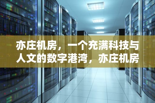 亦庄机房，一个充满科技与人文的数字港湾，亦庄机房是哪家公司的