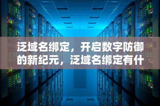 泛域名绑定，开启数字防御的新纪元，泛域名绑定有什么好看的