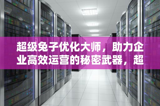 超级兔子优化大师，助力企业高效运营的秘密武器，超级兔子优化大师下载