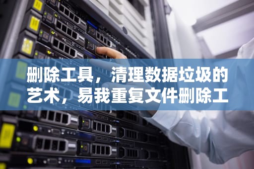 删除工具，清理数据垃圾的艺术，易我重复文件删除工具