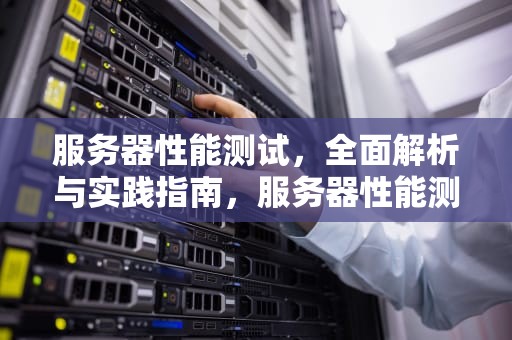 服务器性能测试，全面解析与实践指南，服务器性能测试的性能指标