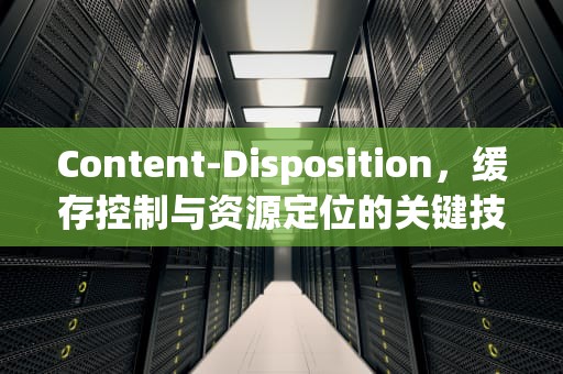 Content-Disposition，缓存控制与资源定位的关键技术，Content-Disposition:form-data