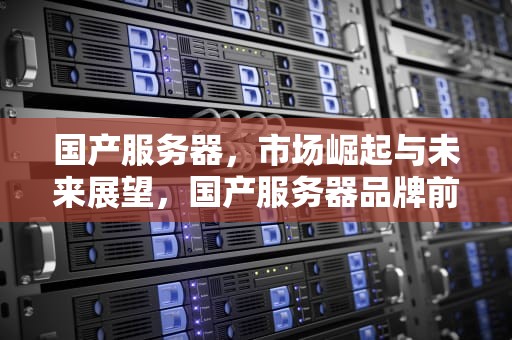国产服务器，市场崛起与未来展望，国产服务器品牌前十大排名