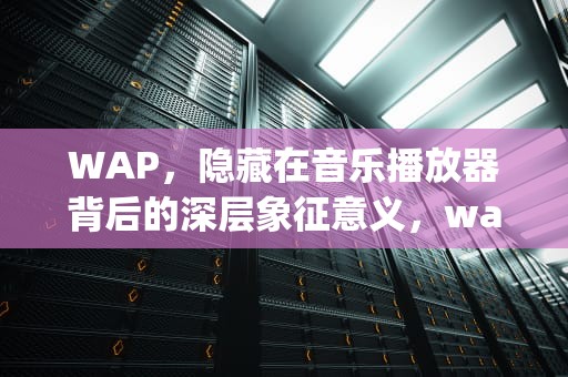 WAP，隐藏在音乐播放器背后的深层象征意义，wap有什么含义