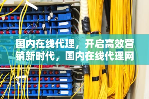 国内在线代理，开启高效营销新时代，国内在线代理网页