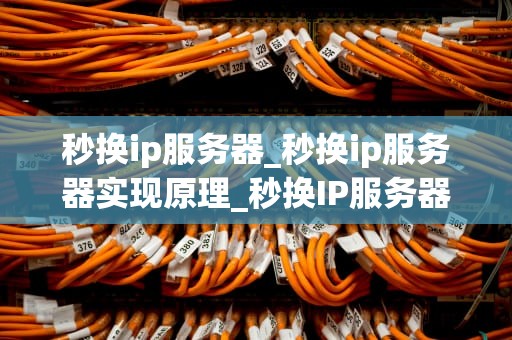 秒换ip服务器_秒换ip服务器实现原理_秒换IP服务器的深度解析