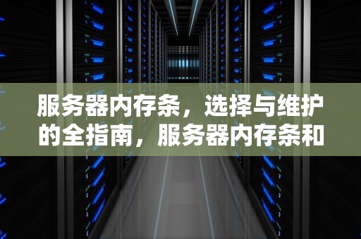 服务器内存条，选择与维护的全指南，服务器内存条和普通内存条区别