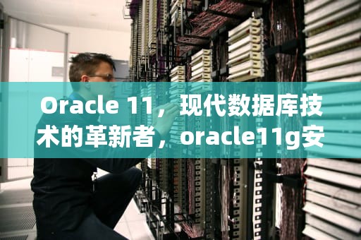 Oracle 11，现代数据库技术的革新者，oracle11g安装教程完整版