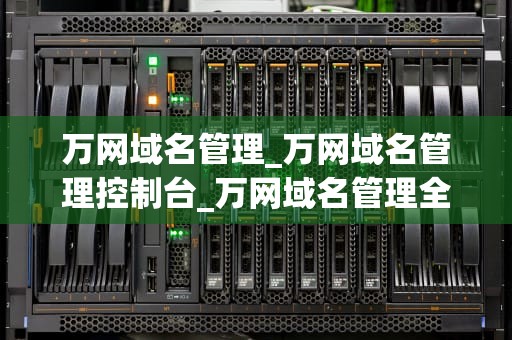 万网域名管理_万网域名管理控制台_万网域名管理全面解析