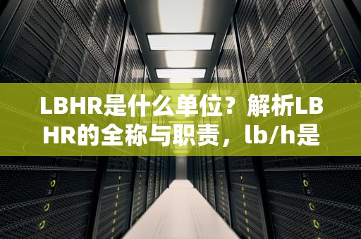 LBHR是什么单位？解析LBHR的全称与职责，lb/h是什么单位