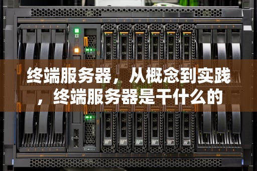 终端服务器，从概念到实践，终端服务器是干什么的