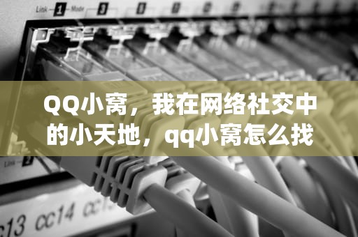QQ小窝，我在网络社交中的小天地，qq小窝怎么找不到了