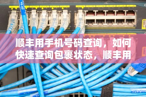 顺丰用手机号码查询，如何快速查询包裹状态，顺丰用手机号码查询单号