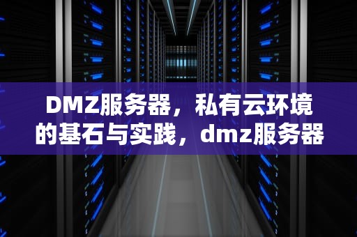DMZ服务器，私有云环境的基石与实践，dmz服务器是什么意思