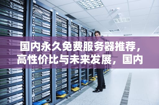 国内永久免费服务器推荐，高性价比与未来发展，国内永久免费服务器排行榜