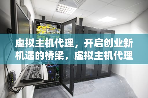 虚拟主机代理，开启创业新机遇的桥梁，虚拟主机代理系统