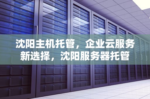 沈阳主机托管，企业云服务新选择，沈阳服务器托管