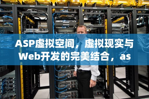 ASP虚拟空间，虚拟现实与Web开发的完美结合，asp虚拟空间可以搭建alist网盘吗
