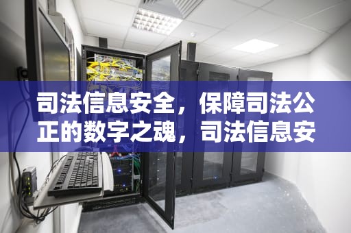 司法信息安全，保障司法公正的数字之魂，司法信息安全是干什么的