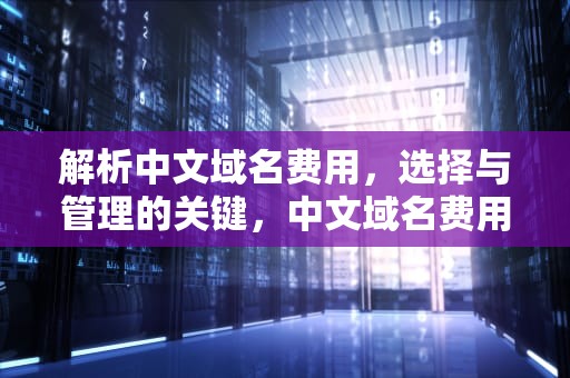解析中文域名费用，选择与管理的关键，中文域名费用多少钱一年