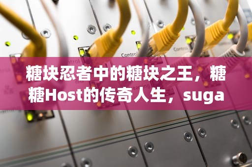 糖块忍者中的糖块之王，糖糖Host的传奇人生，sugarhosts云服务器端口